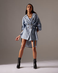 Chambray Dress