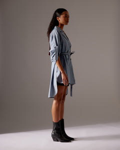 Chambray Dress